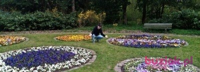 Paweł, Male, 38, Neuburg an der Donau Upper Bavaria Bavaria, Niemcy, Photo: 6