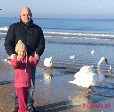 Przemek, Mężczyzna, 46, Szczecin, Polska, Zdjęcie: 2