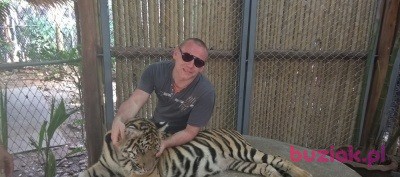 radekolaf, Male, 40, Polska, Photo: 3