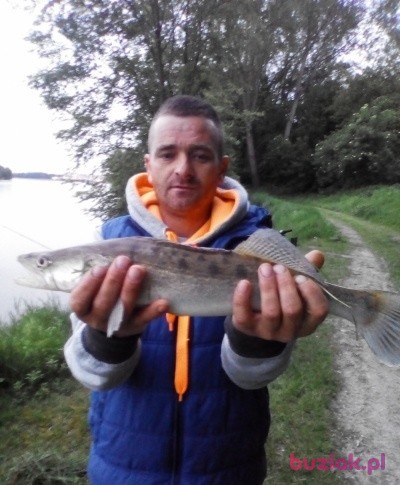 Marcin, Mężczyzna, 41, Łomża, Polska, Zdjęcie: 1