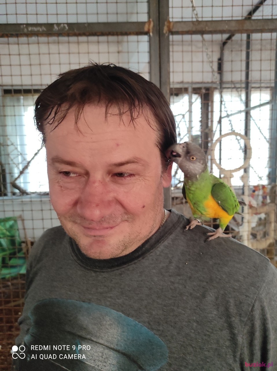 Tomasz, Mężczyzna, 52, Zawiercie, Polska, Zdjęcie: 1