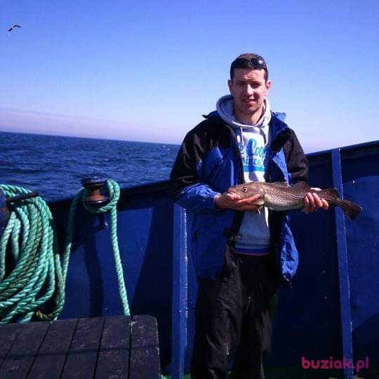 Daw, Mężczyzna, 37, Gorzów Wielkopolski, Polska: 1