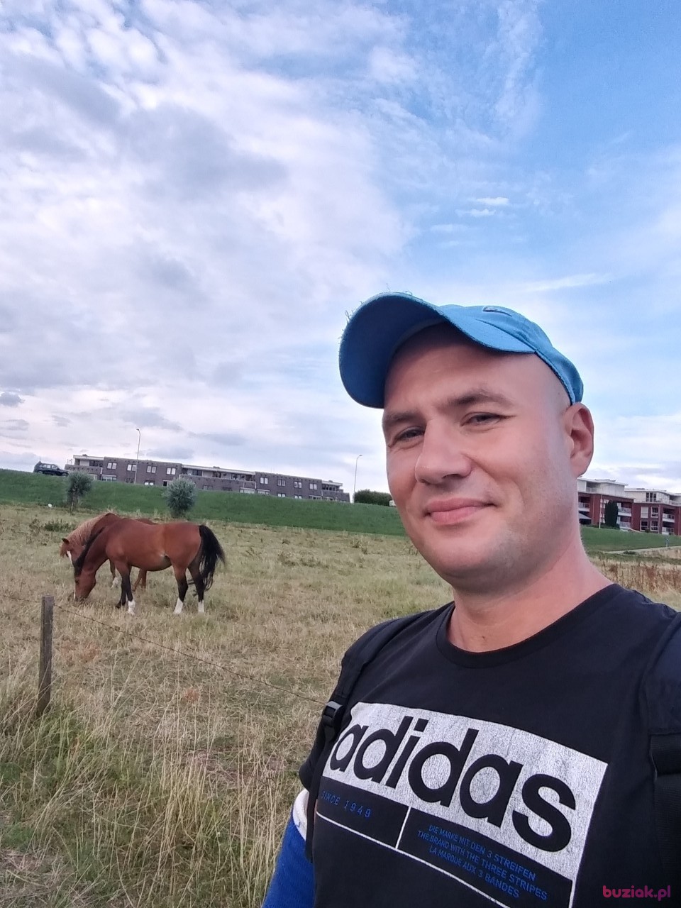PRZEMO, Mężczyzna, 35, Lisse South Holland Province, Holandia: 1
