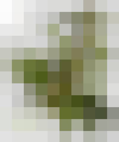 Mistrz 69, Male, 33, Lesko, Polska: 1