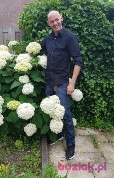 Sebroz, Male, 48, Haarlem North Holland Province, Holandia, Photo: 6