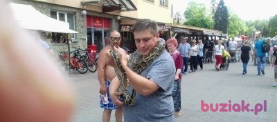 Dawid, Mężczyzna, 43, Bielsko-Biała, Polska, Zdjęcie: 2