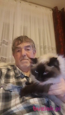 maxon2, Mężczyzna, 66, Kostrzyn, Polska, Zdjęcie: 1