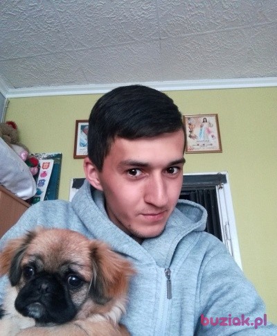 Marek, Mężczyzna, 27, Gliwice, Polska: 1