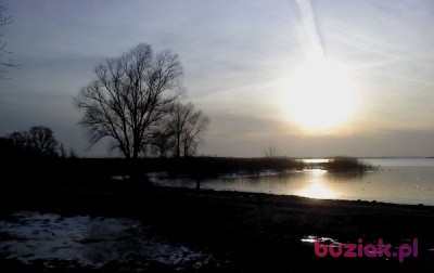 Andrzej, Mężczyzna, 63, Goleniów, Polska, Zdjęcie: 2
