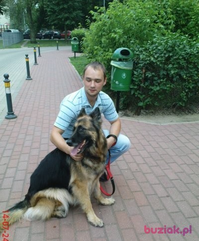 robert, Mężczyzna, 38, Warszawa, Polska, Zdjęcie: 2