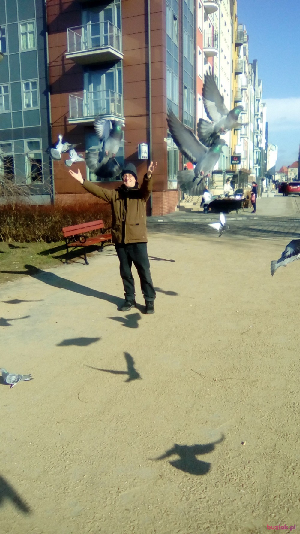 Grzegorz , Mężczyzna, 64, Elbląg, Polska, Zdjęcie: 13