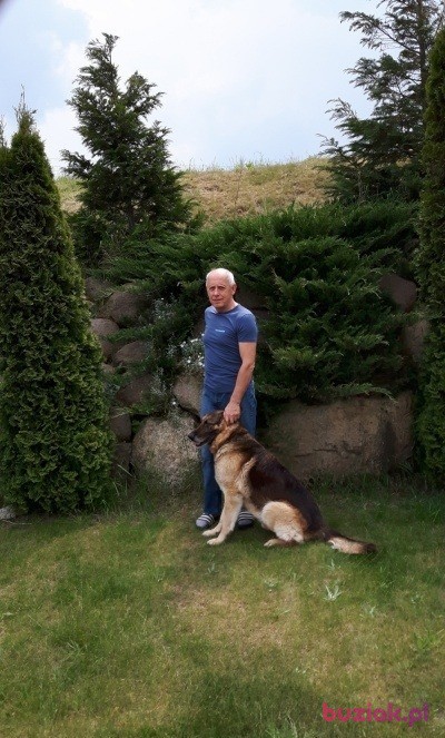 grzegorz, Mężczyzna, 74, Szczecin, Polska, Zdjęcie: 4