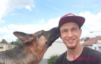 Krzysiek, Mężczyzna, 29, Arcen Limburg Province, Holandia: 1