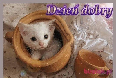 pawe111, Male, 40, Łęczna, Polska, Photo: 2