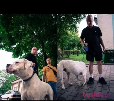 Krzysiek, Male, 31, Westminster, Wielka Brytania, Photo: 2