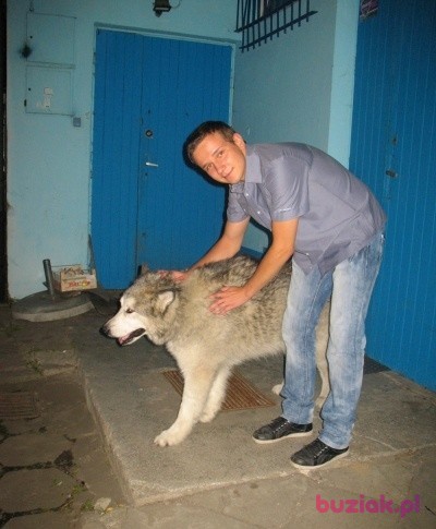 Bartosz , Mężczyzna, 35, Łódź, Polska, Zdjęcie: 1