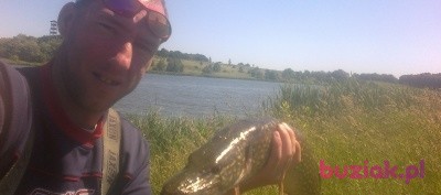 pawelstrzeg, Mężczyzna, 39, Strzegom, Polska, Zdjęcie: 3