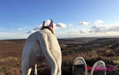 Viking, Male, 46, Sheffield, Wielka Brytania, Photo: 2