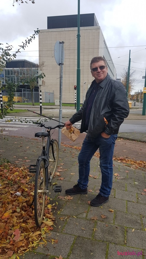 Andrzej, Mężczyzna, 63, Rotterdam South Holland Province, Holandia: 1