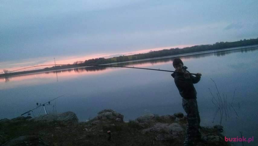 Dawid, Mężczyzna, 28, Jawor, Polska, Zdjęcie: 2