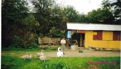 bycio, Mężczyzna, 70, Ryki, Polska, Zdjęcie: 1