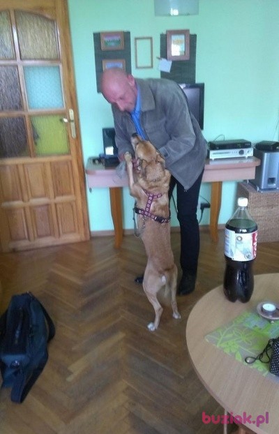 Jacek, Mężczyzna, 55, Elbląg, Polska: 1