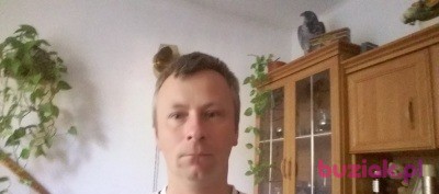 Krystian, Male, 36, Ostrowiec Swiętokrzyski, Polska, Photo: 2