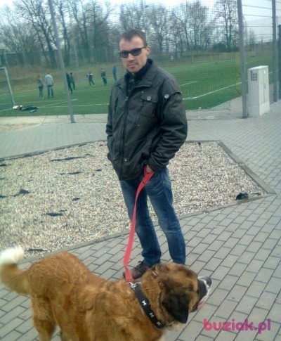 Mirekn, Male, 42, Lubin, Polska, Photo: 4