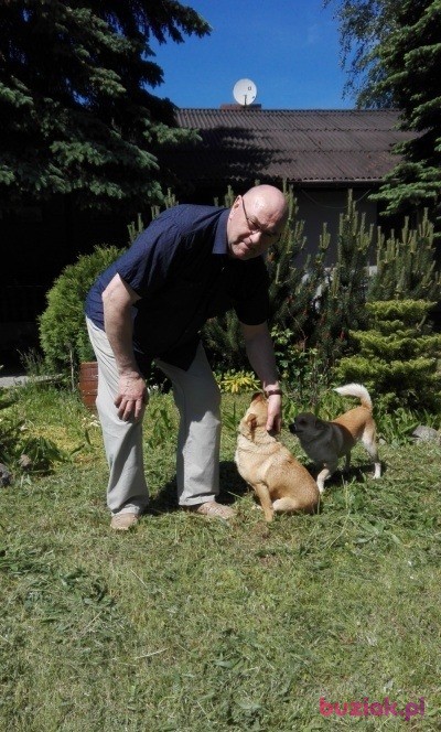 Krzysztof, Mężczyzna, 71, Łódź, Polska, Zdjęcie: 2