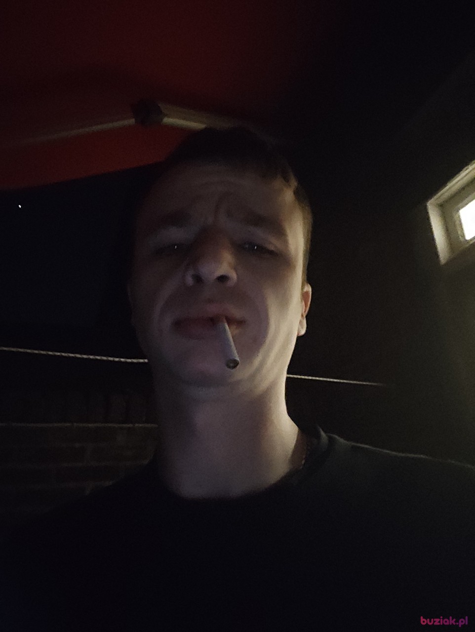 Aleks, Mężczyzna, 35, Arcen Limburg Province, Holandia, Zdjęcie: 2