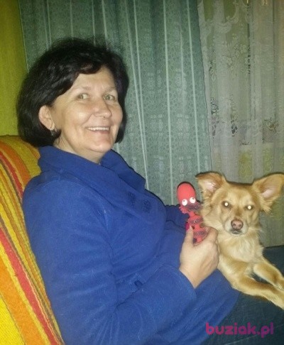 Małgorzata, Female, 62, Warszawa, Polska, Photo: 4
