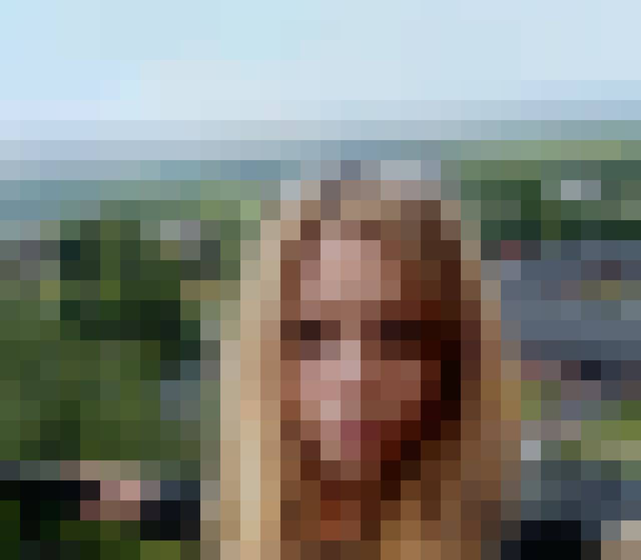 jaa, Kobieta, 50, Brzesko, Polska, Zdjęcie: 1