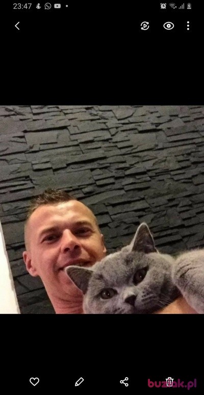 Pawel, Mężczyzna, 41, Rotterdam South Holland Province, Holandia, Zdjęcie: 1