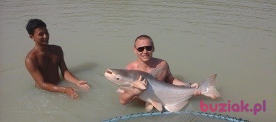 radekolaf, Male, 40, Polska, Photo: 2