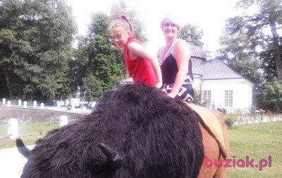 lidia, Kobieta, 52, Sandomierz, Polska, Zdjęcie: 1