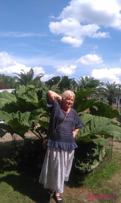 Jagoda, Female, 79, Tarnów, Polska, Photo: 9