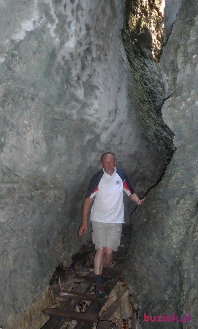 Bogdan, Male, 61, Szczecin, Polska, Photo: 9