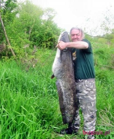 bonifacy, Male, 65, Kraków, Polska, Photo: 4
