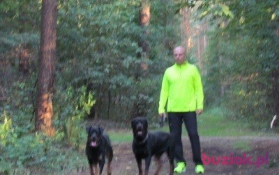 Wojtek, Mężczyzna, 52, Stade Lower Saxony, Niemcy, Zdjęcie: 2
