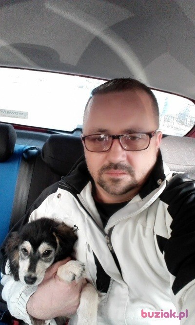 Wojtek, Mężczyzna, 50, Bielsko-Biała, Polska, Zdjęcie: 3