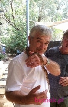 Zbyszek, Male, 66, Gdynia, Polska, Photo: 3