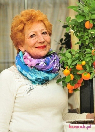 krystyna, Kobieta, 69, Poznań, Polska, Zdjęcie: 3
