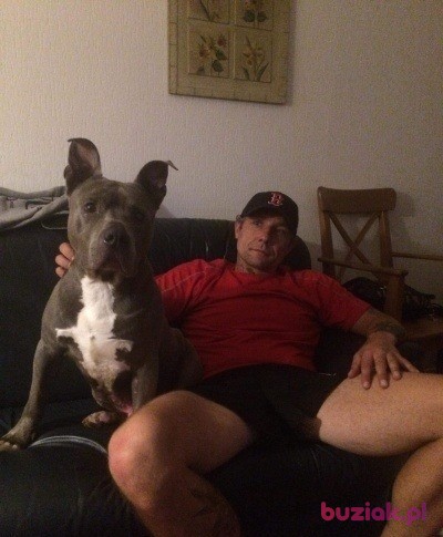 Dominik, Mężczyzna, 39, Holandia, Zdjęcie: 2
