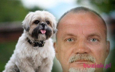 Paweł, Mężczyzna, 65, Polska, Zdjęcie: 5