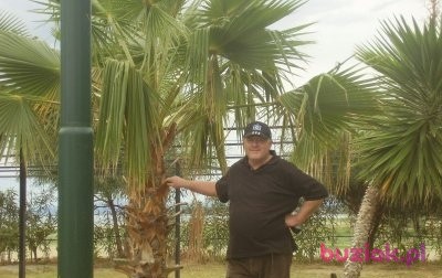 arkadiusz , Male, 66, Ząbkowice Śląskie, Polska, Photo: 1