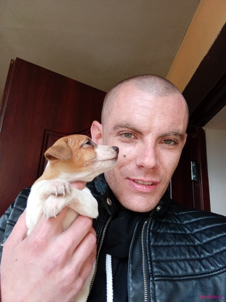 Rafał, Mężczyzna, 34, Oss North Brabant Province, Holandia: 1