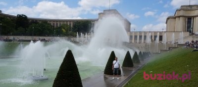 Marek, Mężczyzna, 43, Gliwice, Polska, Zdjęcie: 4