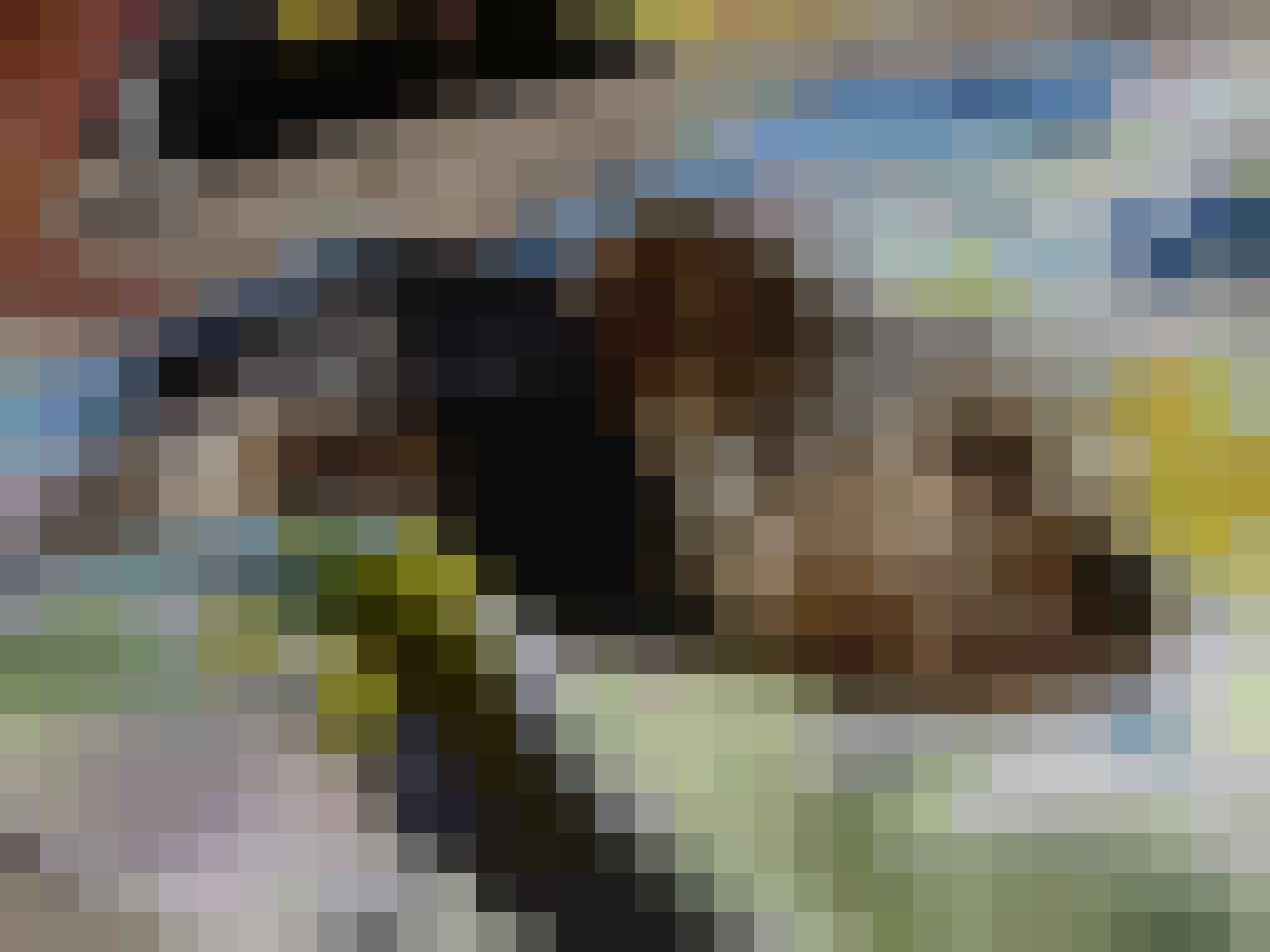 Uwe, Mężczyzna, 65, Kraków, Polska: 1