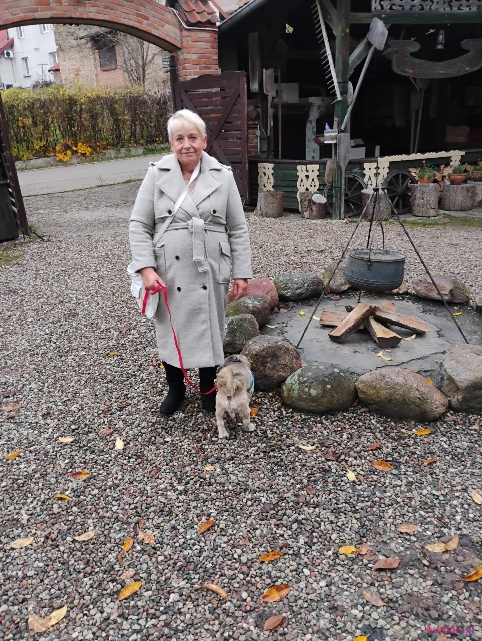 Joanna, Kobieta, 63, Działdowo, Polska: 1