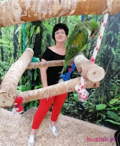 Doriss, Kobieta, 63, Ostrołęka, Polska, Zdjęcie: 4